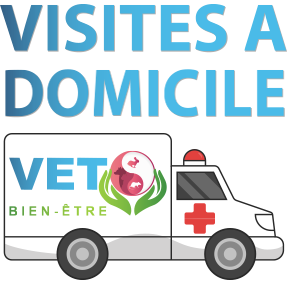 visites à domicile